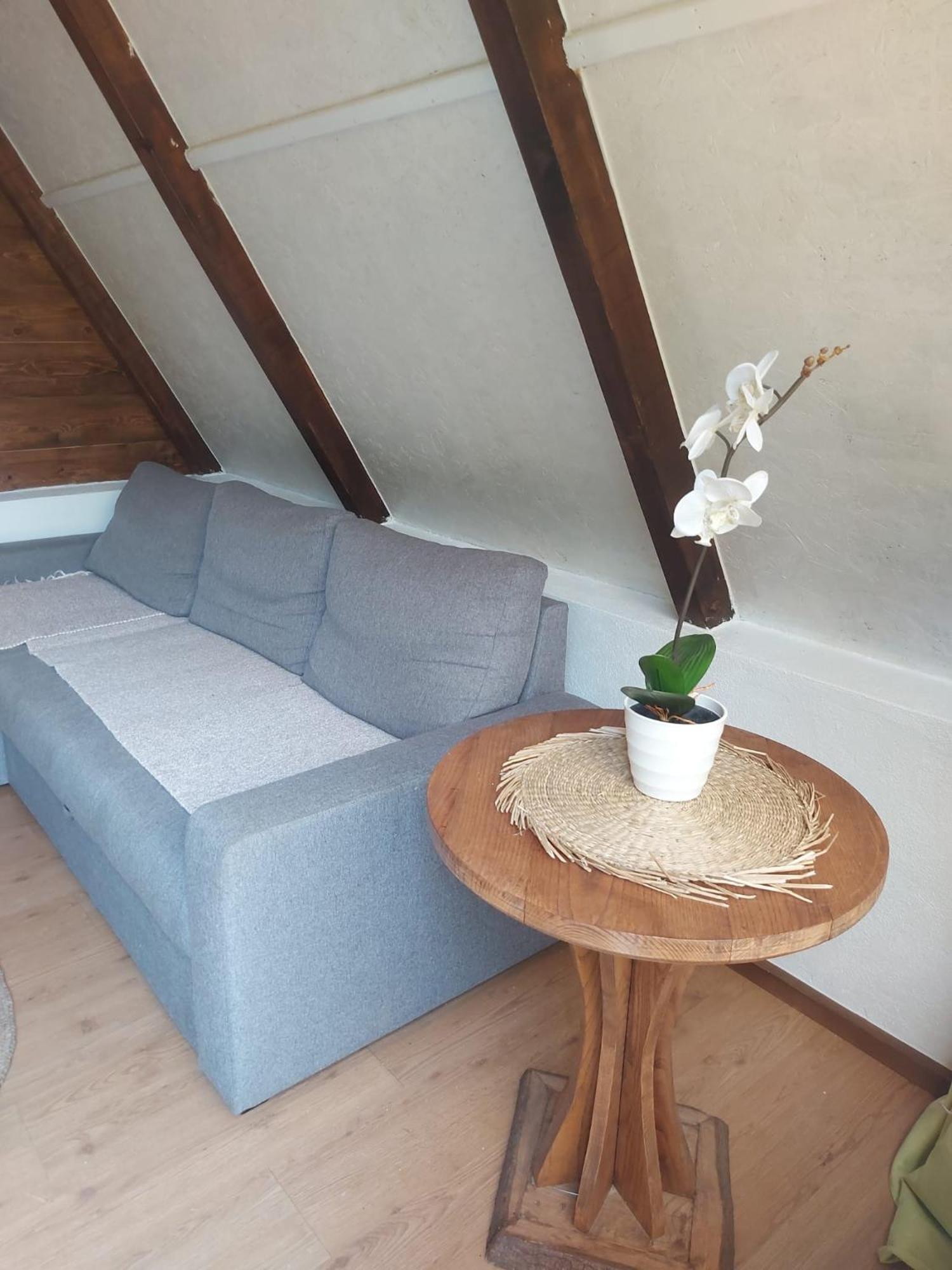 Balabani Local Stay Golubovci 외부 사진