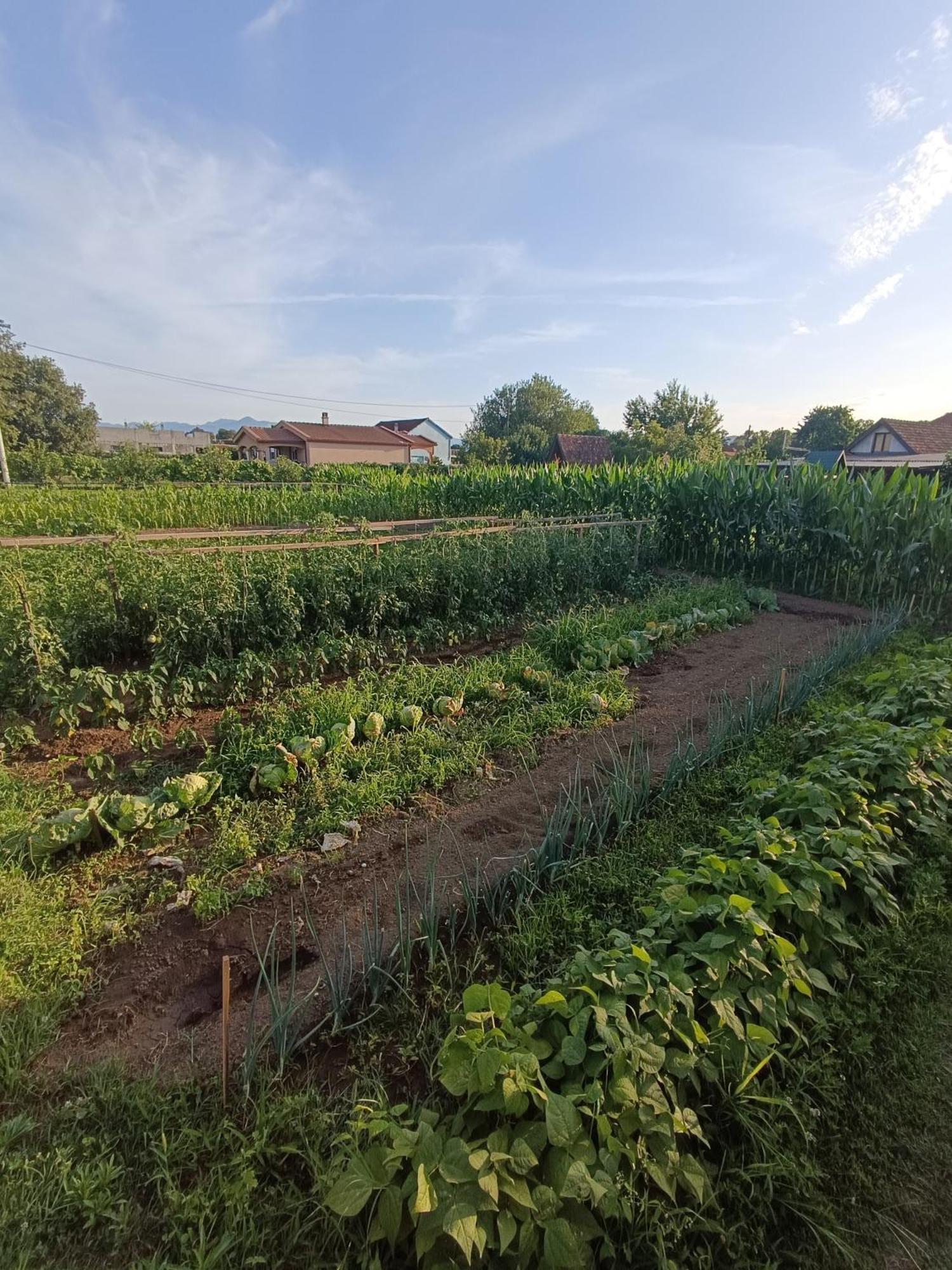 Balabani Local Stay Golubovci 외부 사진
